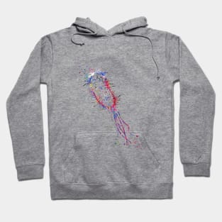 Escherichia coli Hoodie